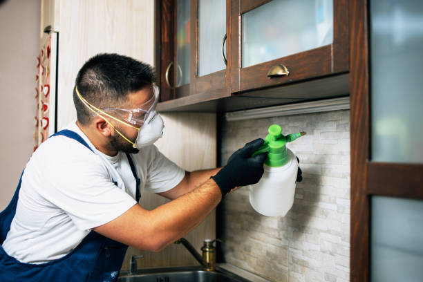 Best Pest Inspection Near Me  in Staten Island, NY