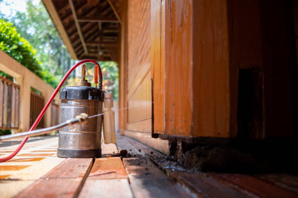Best Best Pest Control Companies  in Staten Island, NY