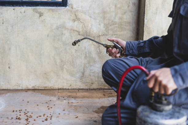 Professional Pest Control in Staten Island, NY